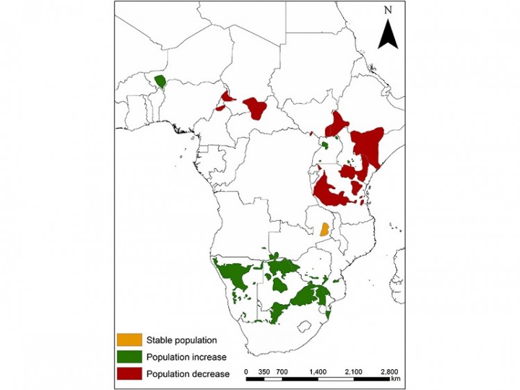 Giraffe-Conservation-Status-Map_no-hunting_2017-copy-1.jpg