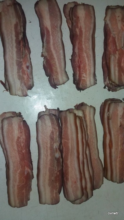 Homemade bacon 20180720_083636.jpg