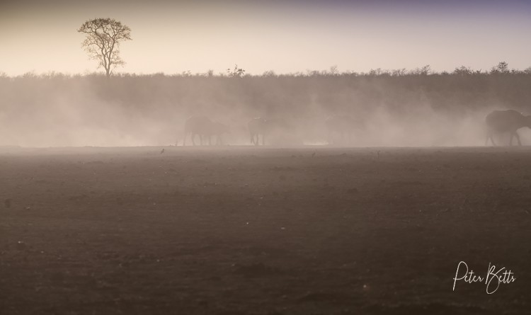 Mooiplaas Drought Landscape Image.jpg