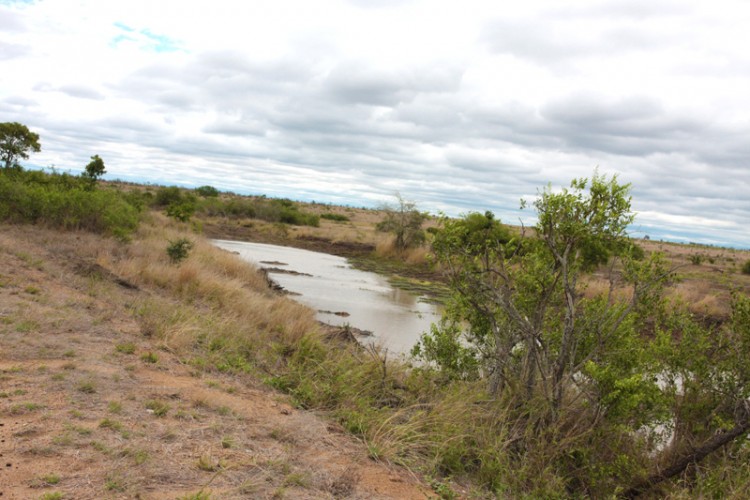 mlondozi stream on the h10.jpg