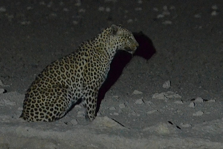 DSC_2399_00008.jpg