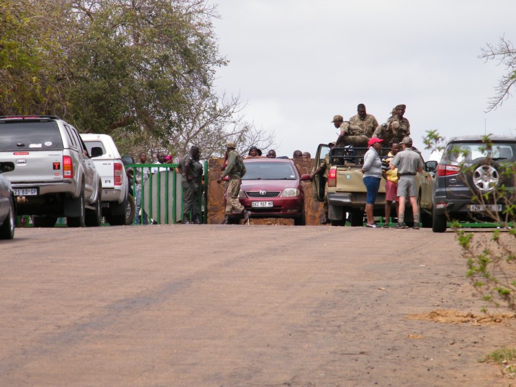 Croc Bridge 4.JPG