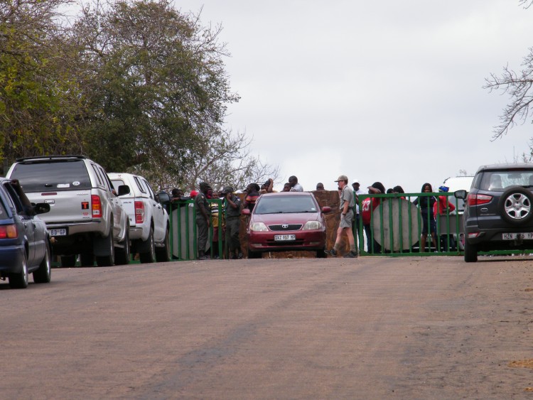 Crocodile bridge.JPG