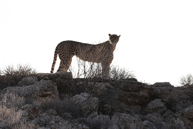 DSC_4007_00039_00080.jpg