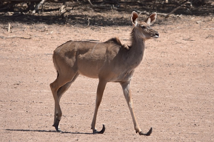 DSC_4031_00002_00054.jpg
