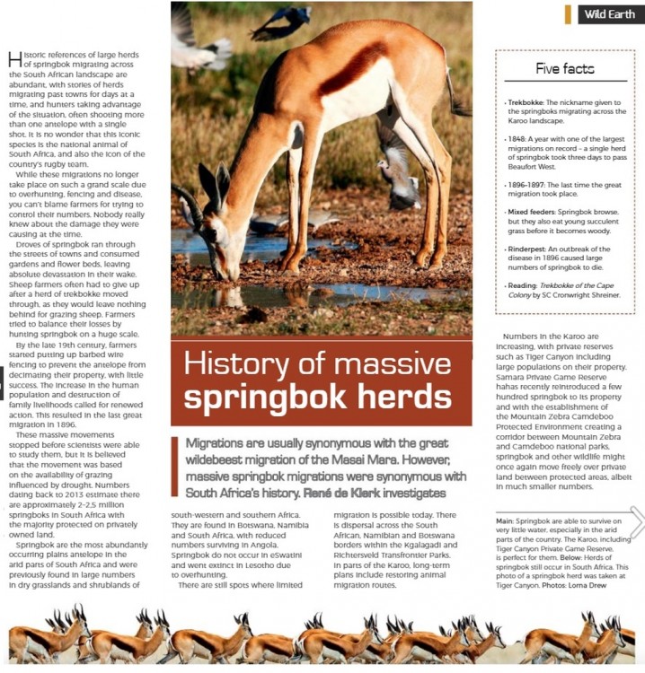 Summer Issue Safari News Page 39.jpg