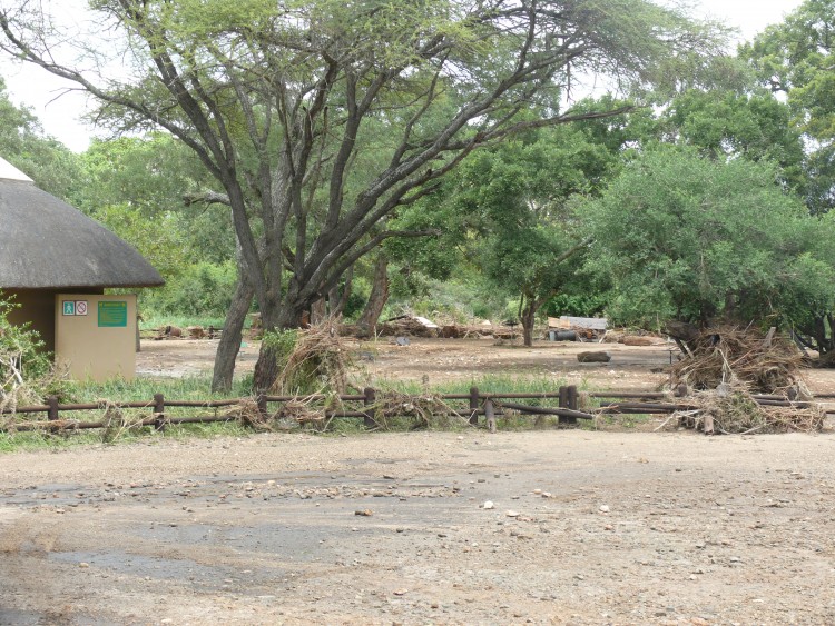 Dec 2011 117.jpg