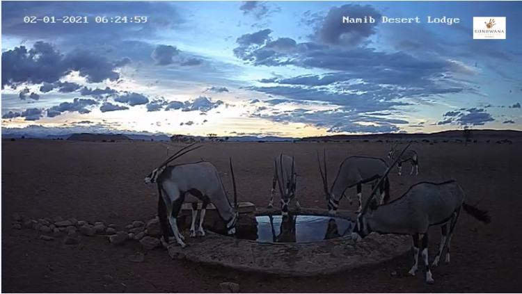 Namib2.jpg