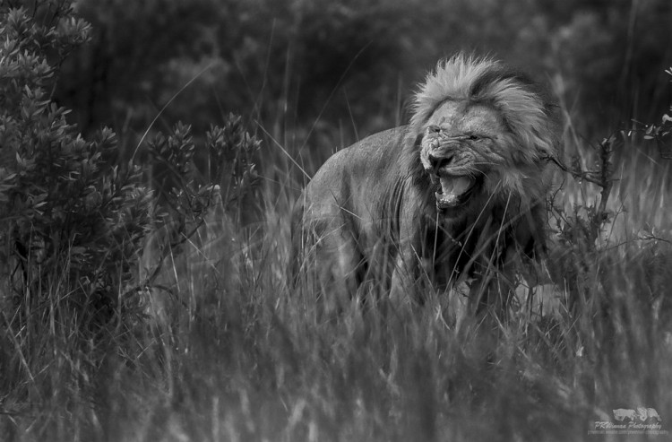 _F5G1692 as Smart Object-1-2-2.jpg