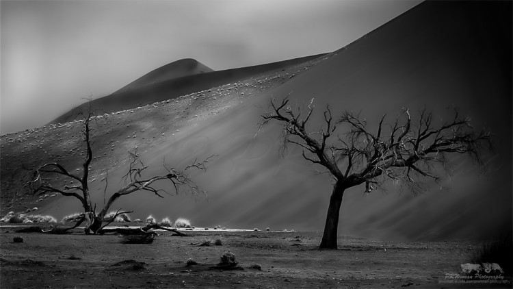 Dead Vlei as Smart Object-1.jpg