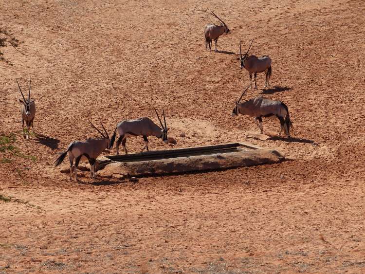 P1850160.JPG