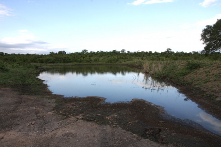 the waterhole on the other side of the dam