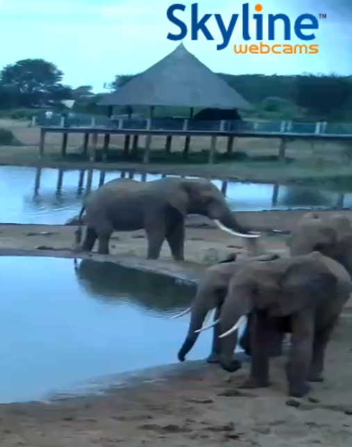 Tsavo East 18.jpg