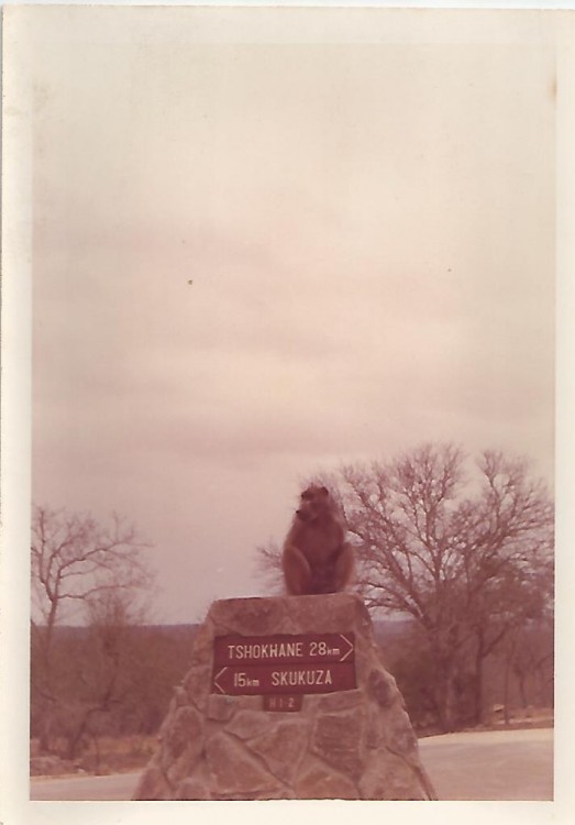 Scan.jpg