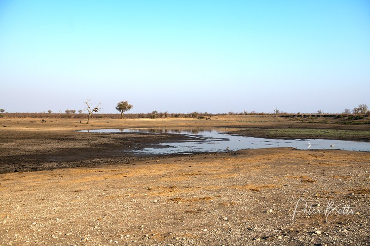 Grootvlei Dam.jpg