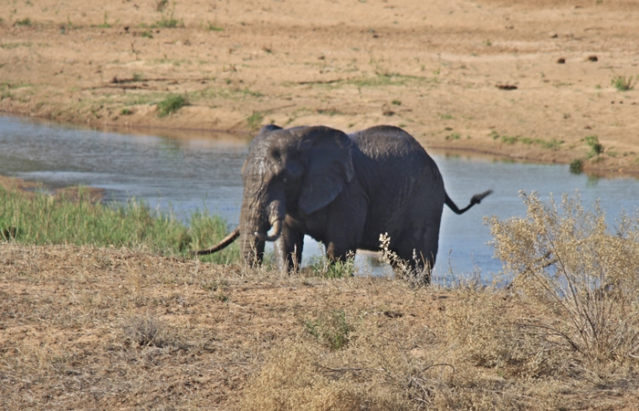 IMG_6498.JPG