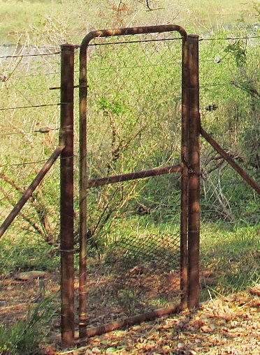 126.JPG