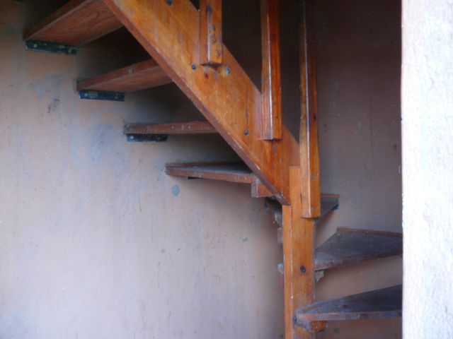 P1170453.jpg