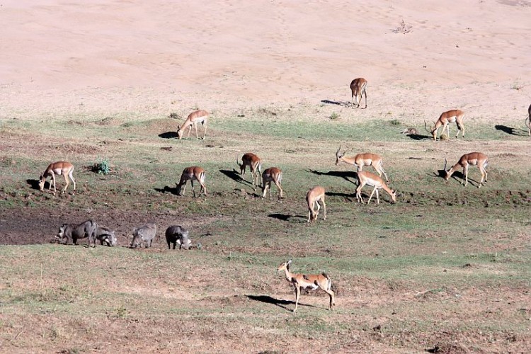 knp14.jpg