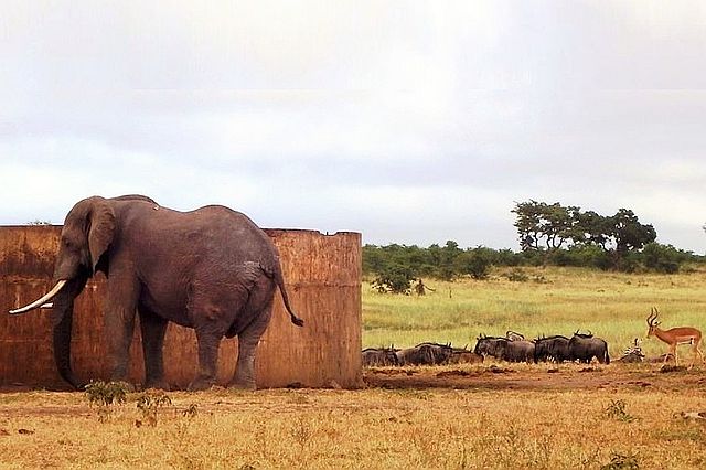 Mooiplaas.jpg