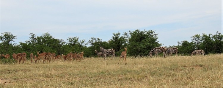 IMG_2653.JPG