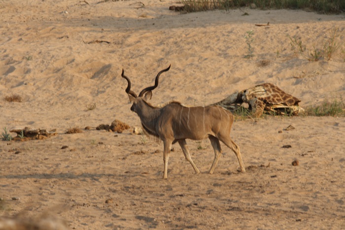 IMG_7425.JPG