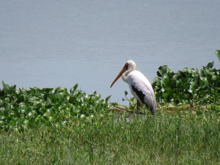 IMG_3142.JPG