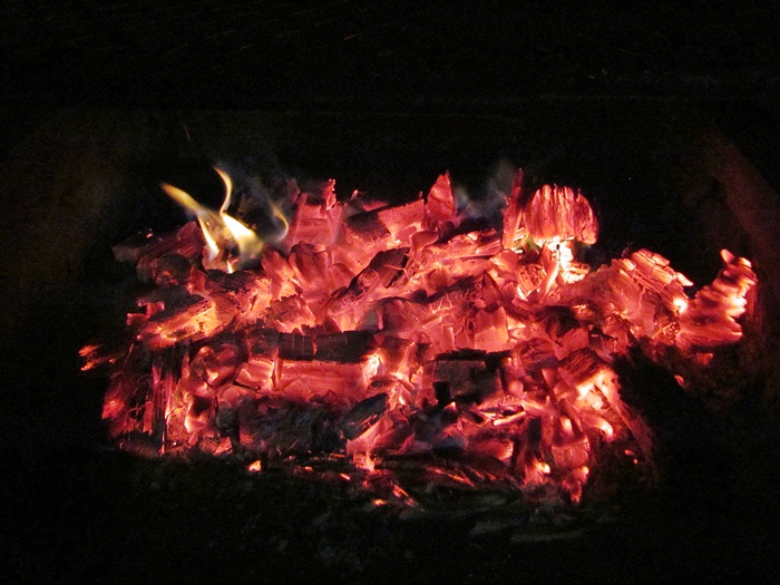 224.JPG