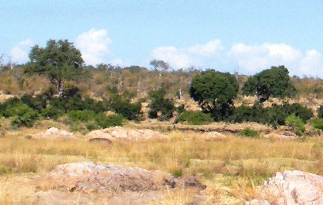 w1.jpg