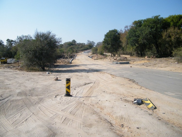 2015.jpg