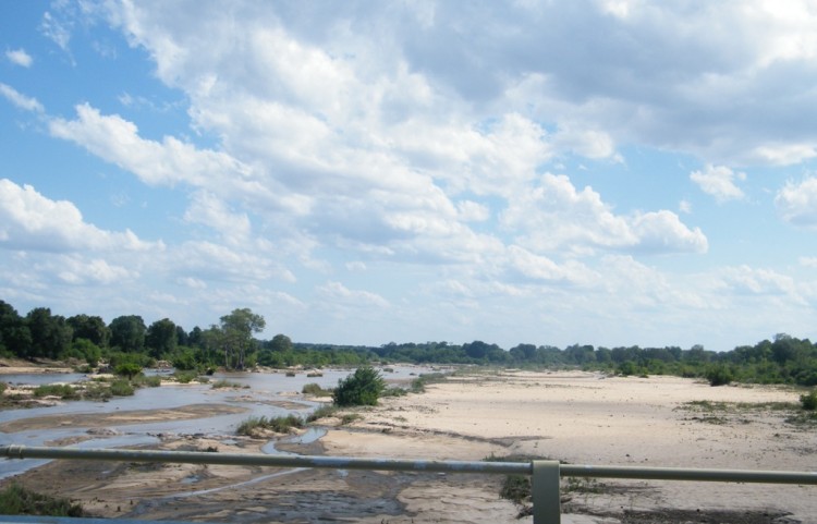 sw.jpg