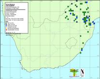 tn_horned_rockdweller_sa_map.jpg