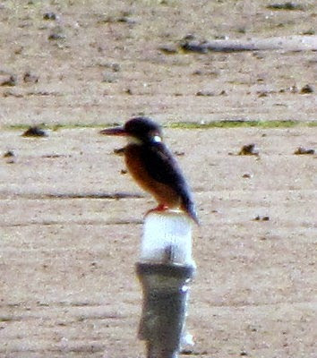 IMG_6067.JPG