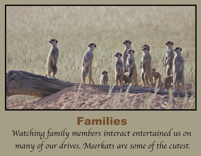 fam.jpg