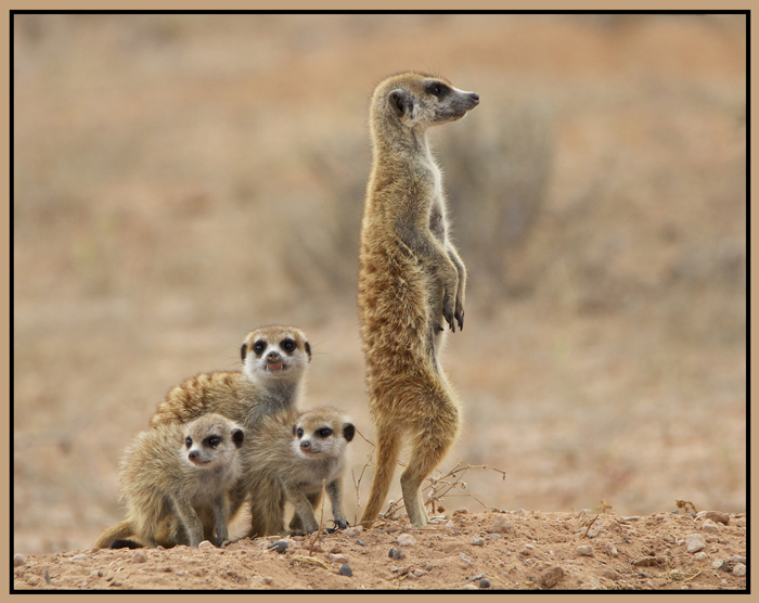 fam5.jpg