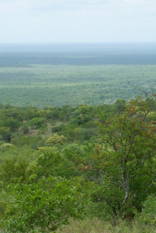 view 1.jpg