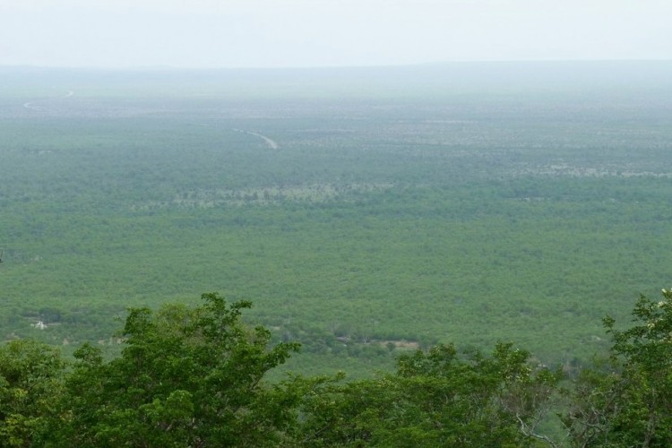 view 2.jpg