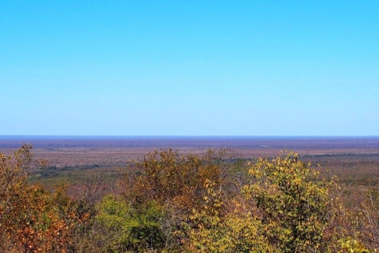 dry season.jpg