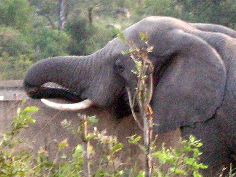 BSP - 5.jpg