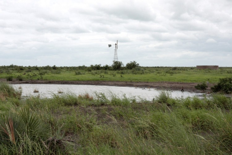 where in kruger 1.jpg