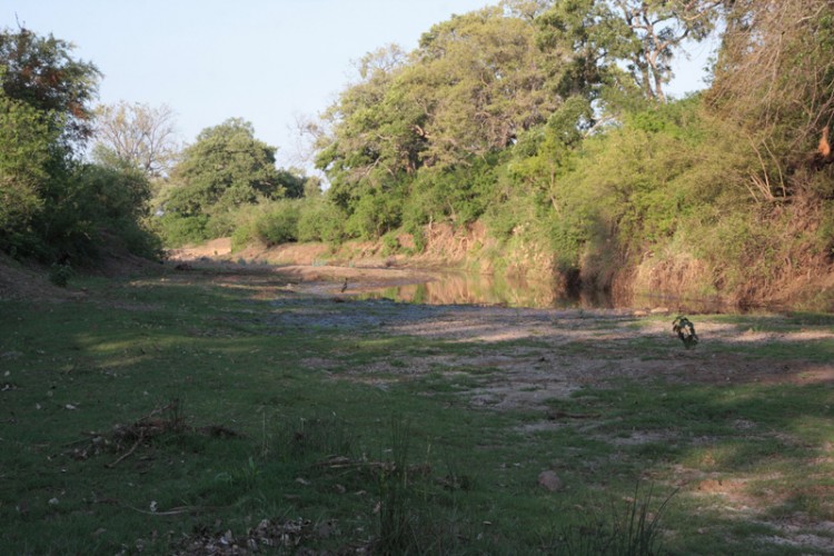 where in kruger at april 15.jpg