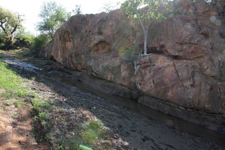 where in kruger on 13 april.jpg