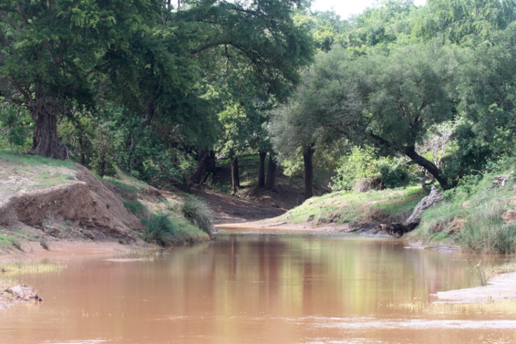where in kruger april the 13.jpg