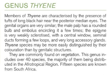 Ansie Dippenaar-Schoeman, Field Guide to South African Spiders.jpg