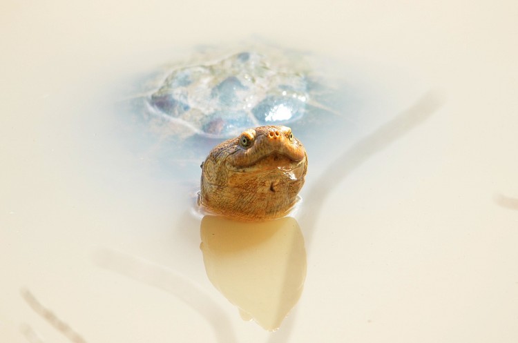 DSC_6874_01.jpg