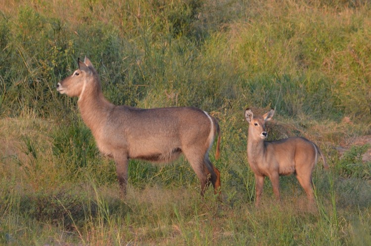 DSC_7037_01.jpg