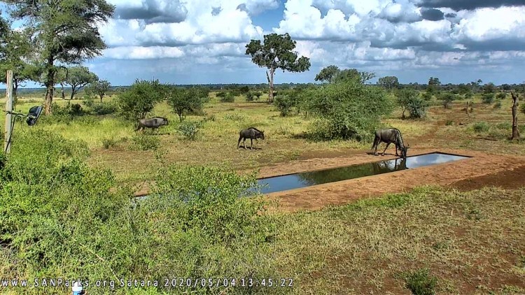 satara.jpg