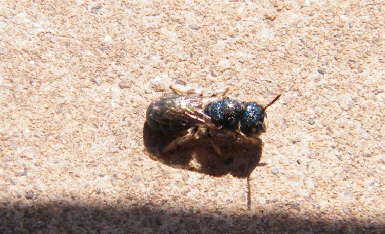 w1.jpg