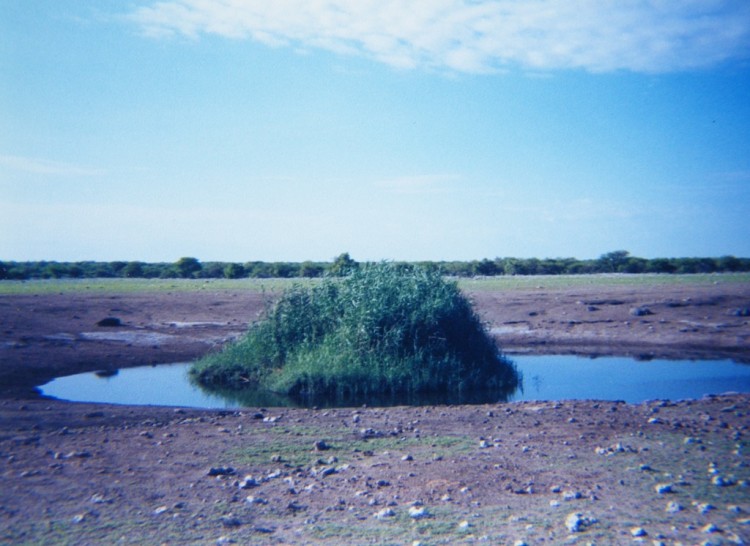 q.5.jpg