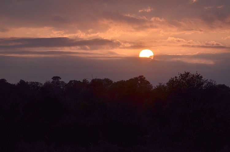 DSC_7079_01.jpg